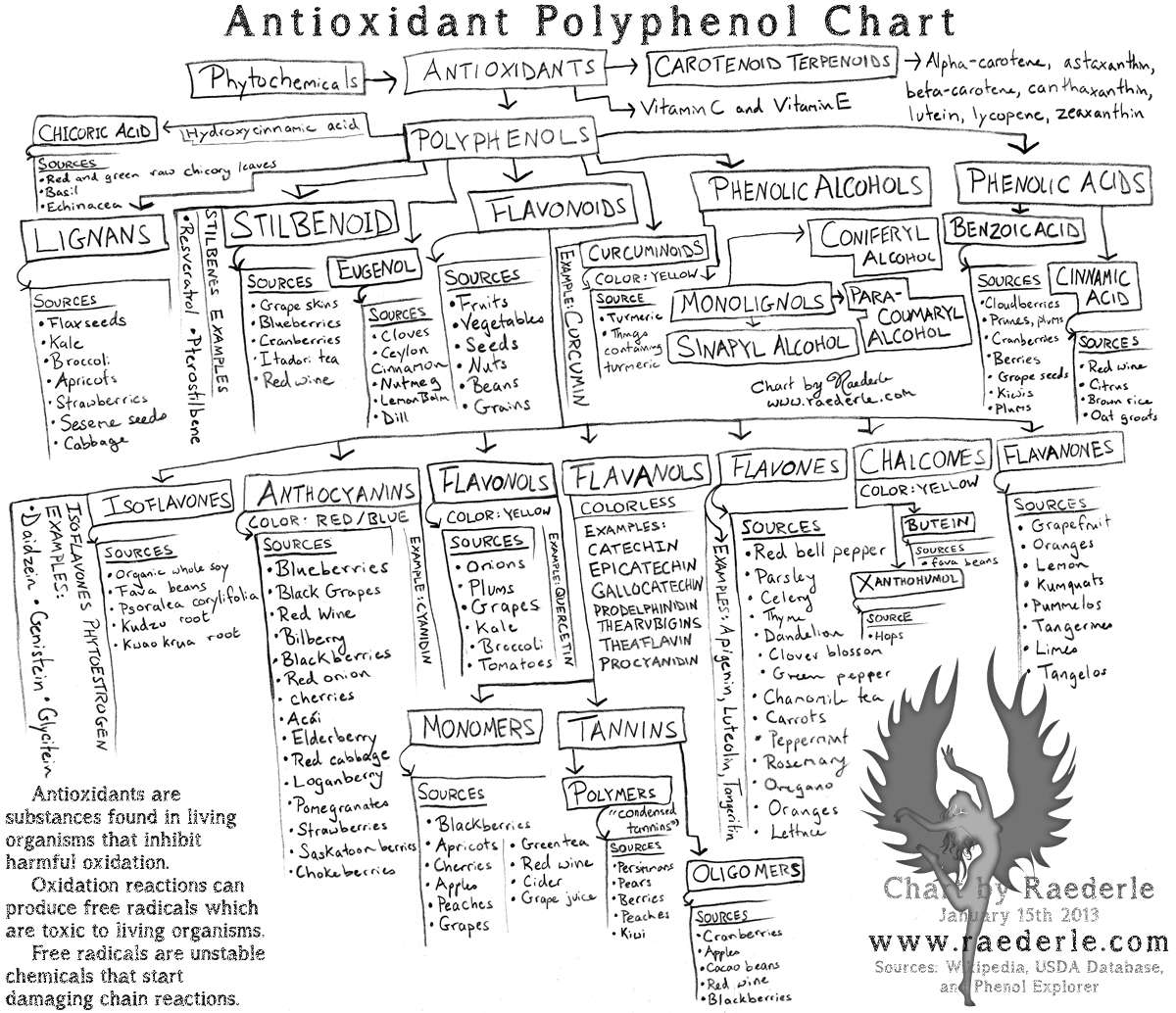 Raederle's Antioxidant Polyphenol Flavonoid Chart